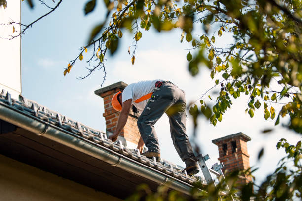 Best Residential Roofing Contractor  in Bad Axe, MI