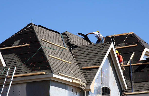 Best Local Roofing Companies  in Bad Axe, MI