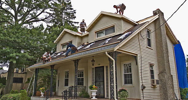 Best Residential Roofing Contractor  in Bad Axe, MI