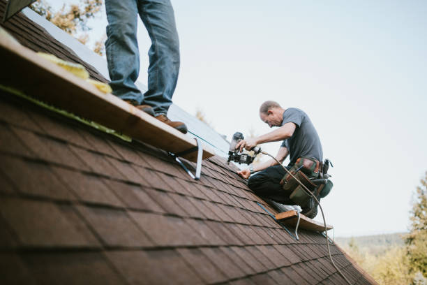 Quick and Trustworthy Emergency Roof Repair Services in Bad Axe, MI
