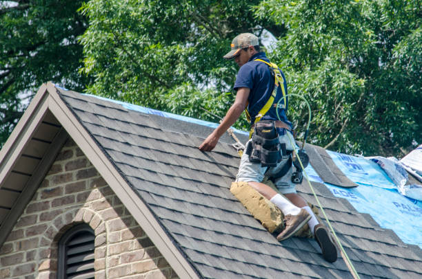 Best Shingle Roofing Installation  in Bad Axe, MI